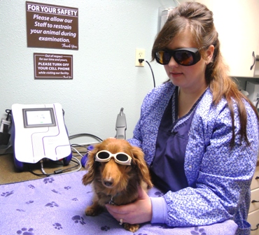 THERAPEUTIC LASER THERAPY