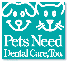 pets need dental care too