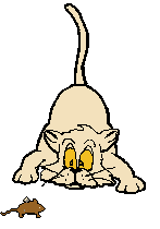 animated cat gif animated cat gif