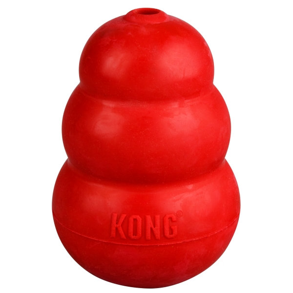 Kong 