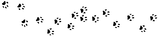 paw prints