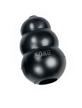 Kong 