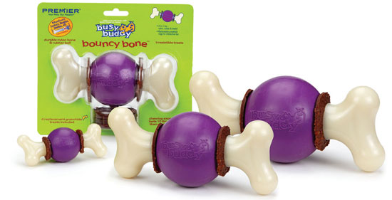 Bouncy Bone from Busy Buddy 